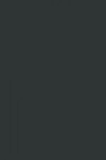 FARROW AND BALL BLACK BLUE NO. 95 PAINT